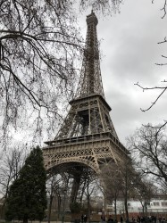 Фото из тура Французский для начинающих Париж + Диснейленд, 21 декабря 2019 от туриста Арина