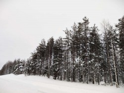 Фото из тура Страна Санта Клауса  выезд с КиеваЛапландское приключение , 28 декабря 2019 от туриста Ekaterina