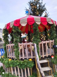 Фото из тура Страна Санта Клауса  выезд с КиеваЛапландское приключение , 28 декабря 2019 от туриста Ekaterina