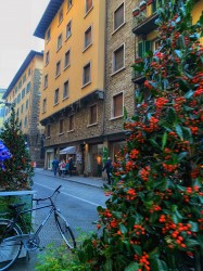 Фото з туру Рим притягує нас! Відень, Флоренція та Венеція, 02 січня 2020 від туриста Евгения 