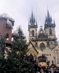 Фото из тура Уикенд в Амстердаме + Берлин и Прага!, 25 декабря 2019 от туриста Надя