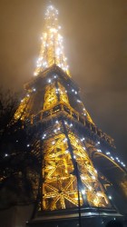 Фото з туру Маленька французька подорож Париж, Діснейленд +Нюрнберг, 30 грудня 2019 від туриста Sh_Al