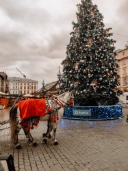 Фото из тура Уикенд на троих!  Краков, Вена, Будапешт!, 28 декабря 2019 от туриста Stella