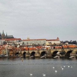 Фото из тура Приятный уикенд  Прага + Дрезден, 07 января 2020 от туриста Gutta