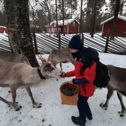 Фото з туру Зустріч з Сантою в Лапландії, 28 грудня 2019 від туриста Ірина