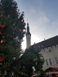 Фото из тура Шесть столиц Янтарные дороги Балтии и Скандинавии +Фьорды, 31 декабря 2019 от туриста Anna_ost