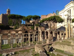 Фото з туру Сто причин любити Італію, і перша - Рим! Флоренція + Венеція!, 05 жовтня 2019 від туриста Олена