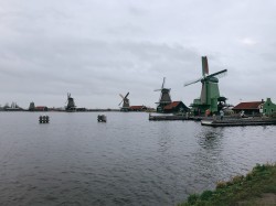 Фото из тура Амстердам - глоток свободы, 06 января 2020 от туриста Vilina