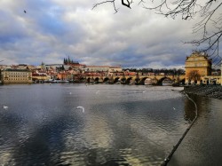 Фото из тура Душевный Уикенд Краков, Прага, Вена, Будапешт + Эгер, 09 января 2020 от туриста makkssy