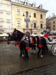 Фото из тура Уикенд в Краков!, 24 января 2020 от туриста Turist