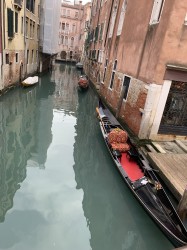Фото из тура Рим притягивает нас! Вена, Флоренция и Венеция!, 26 января 2020 от туриста Ting
