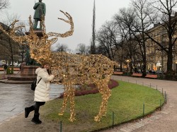 Фото из тура Страна Санта Клауса  выезд с КиеваЛапландское приключение , 28 декабря 2019 от туриста KsenChek