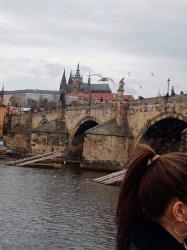 Фото из тура Пражское дежавю  Прага и Вена, 31 января 2020 от туриста Sprut88