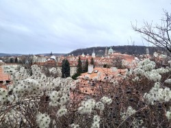 Фото з туру Три щасливі дні Краків, Прага + Дрезден, 01 лютого 2020 від туриста Андреєва Галина