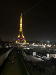 Фото из тура Французский для начинающих Париж + Диснейленд, 12 февраля 2020 от туриста karya1611