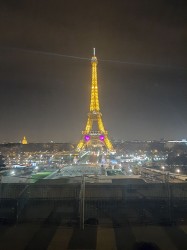 Фото из тура Французский для начинающих Париж + Диснейленд, 12 февраля 2020 от туриста Олеся 