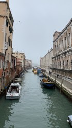 Фото из тура Сочный викенд: Верона, Рим, Венеция!, 14 февраля 2020 от туриста Nell
