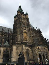 Фото из тура Приятный уикенд  Прага + Дрезден, 20 февраля 2020 от туриста olha321
