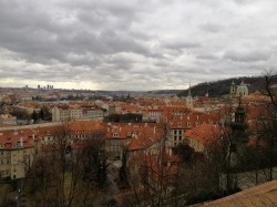 Фото из тура Приятный уикенд  Прага + Дрезден, 20 февраля 2020 от туриста Людмила 