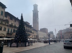 Фото з туру Коротке побачення в Італії: Верона, Мілан, Венеція, 05 січня 2020 від туриста Ira78