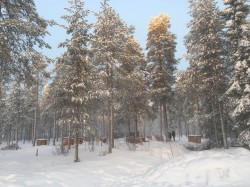 Фото з туру Країна Санта Клауса виїзд з КиєваЛапландська пригода , 09 січня 2020 від туриста Світлана