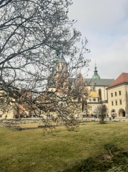 Фото из тура Пражское дежавю  Прага и Вена, 28 февраля 2020 от туриста Тетяна 