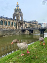Фото из тура Любовь и голуби… Париж, Франкфурт, Дрезден и Прага!!!, 26 февраля 2020 от туриста Марія