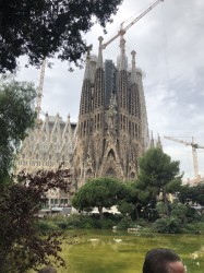 Фото из тура Кастаньеты испанского сердца  3 дня в Барселоне, 24 октября 2019 от туриста Shebina_85