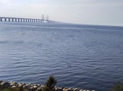 Фото из тура Скандинавские фьорды  Страны Балтии + Язык Тролля, 18 августа 2019 от туриста Тата