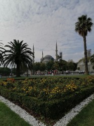 Фото из тура Загадочный Истанбул, 22 сентября 2020 от туриста Оля