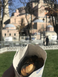 Фото из тура Сияние турецких огоньков…, 30 декабря 2020 от туриста Елена
