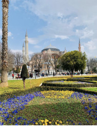 Фото з туру Вікенд в Стамбулі, 20 березня 2021 від туриста Таня 
