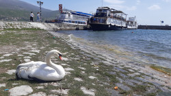 Фото из тура Уикенд в Македонии: Скопье + Охридское озеро, 30 апреля 2021 от туриста Elena Viktorivna 
