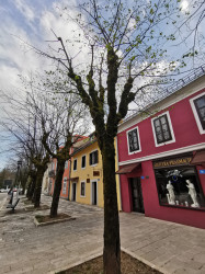 Фото из тура Чудеса Балкан: Черногория + Албания + Македония!, 28 апреля 2021 от туриста Tanya