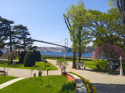 Фото из тура Турецкий формат, 04 мая 2021 от туриста Галя