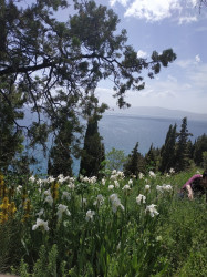 Фото из тура Выходные в Македонии и Сербии+ Каньйон Матка и Охридское озеро!, 30 апреля 2021 от туриста хортич