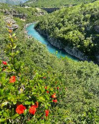 Фото из тура Балканская красотка – Черногория! Отдых на Адриатическом побережье..., 28 мая 2021 от туриста Иришка