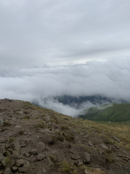 Фото из тура А над Говерлой - облака!, 19 июня 2021 от туриста darineta