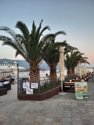 Фото из тура Знакомьтесь, Черногория! или Там, где начинается Море ..., 25 июня 2021 от туриста Наталка Кацубо