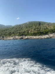 Фото з туру У компанії з морем: Відпочинок на Егейському узбережжі, 25 червня 2021 від туриста Tanya_dnipro