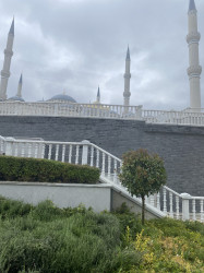 Фото из тура Турецкий формат, 04 июля 2021 от туриста oksanaH