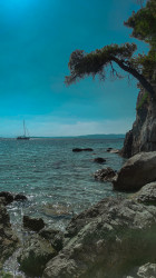 Фото из тура В компании с морем: Отдых на Эгейском побережье, 08 июля 2021 от туриста Даруся