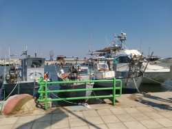 Фото з туру У компанії з морем: Відпочинок на Егейському узбережжі, 08 липня 2021 від туриста Регина