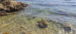 Фото из тура Сладкие прикосновения моря… Греция! Отдых на Эгейском море!, 26 июля 2021 от туриста Enigma