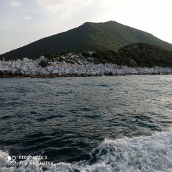 Фото из тура В компании с морем: Отдых на Эгейском побережье, 30 июля 2021 от туриста Ольга