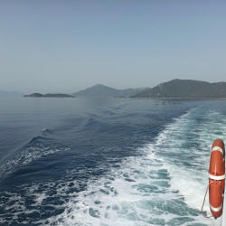 Фото из тура В компании с морем: Отдых на Эгейском побережье, 30 июля 2021 от туриста Asy