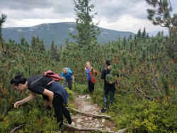 Фото з туру Карпатських гір передзвін, 16 серпня 2021 від туриста Алёнка