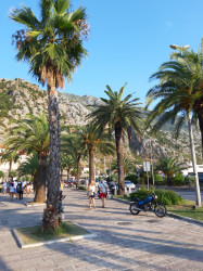 Фото из тура Балканская красотка – Черногория! Отдых на Адриатическом побережье..., 18 августа 2021 от туриста Жаннета
