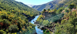 Фото из тура Знакомьтесь, Черногория! или Там, где начинается Море ..., 18 сентября 2021 от туриста Олена