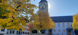 Фото из тура Отдых на высоте - Швейцария!!! Цюрих, Берн, Люцерн+ остров Майнау, 21 октября 2021 от туриста Вита